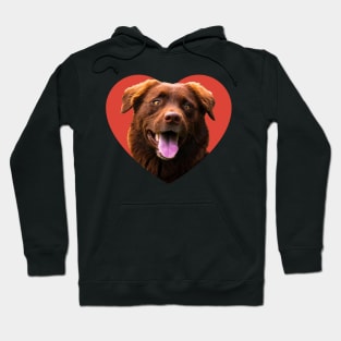 Border Collie Dog Heart Hoodie